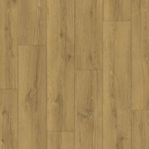 CLM5792 Honingbruine Eik